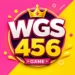 Wgs456 Game